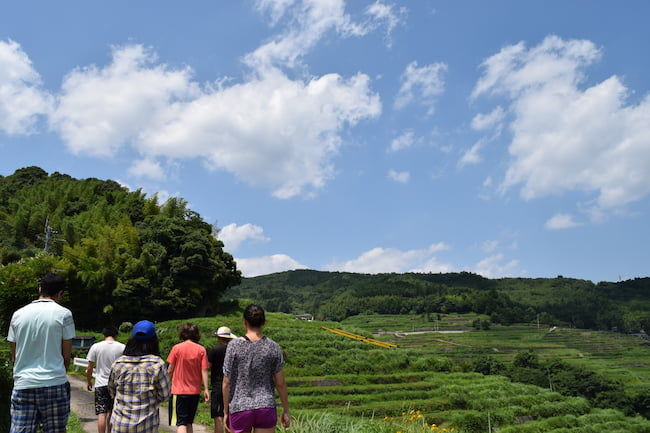 棚田の景観をたのしむ散策プログラム
