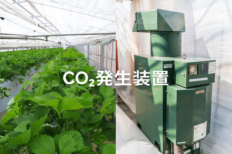 二酸化炭素発生装置とは？種類と導入方法を紹介（CO2発生装置／炭酸ガス発生装置）