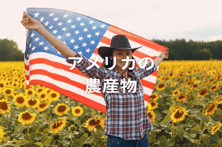 アメリカの農産物はなぜ安い？ アメリカ農業の特徴・現状と今後の展望