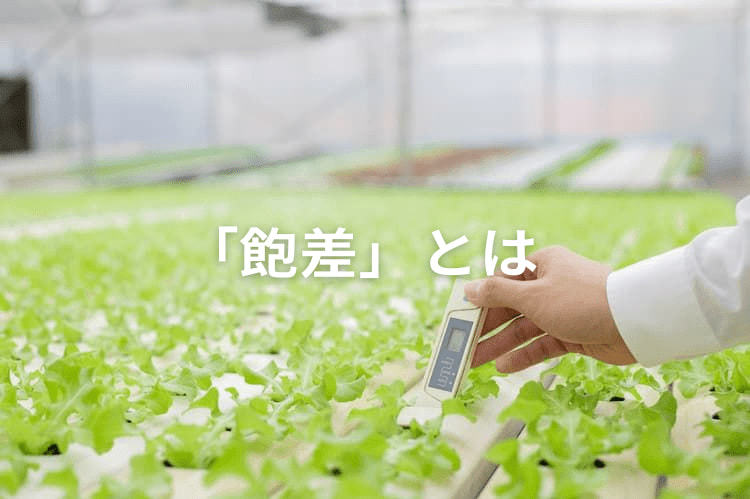 飽差とは?  ハウス栽培に欠かせない指標を知り、収量アップを実現！