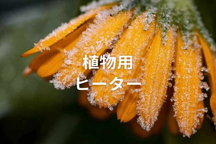 施設栽培の植物用ヒーターおすすめ4選！ ハウス内の局所加温のポイントは？