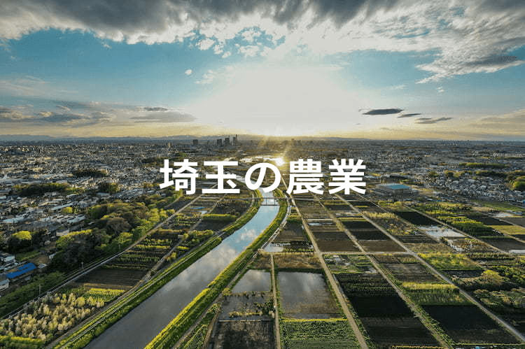 埼玉県で農業を始めよう！ 地域の特徴・課題と、使える支援制度