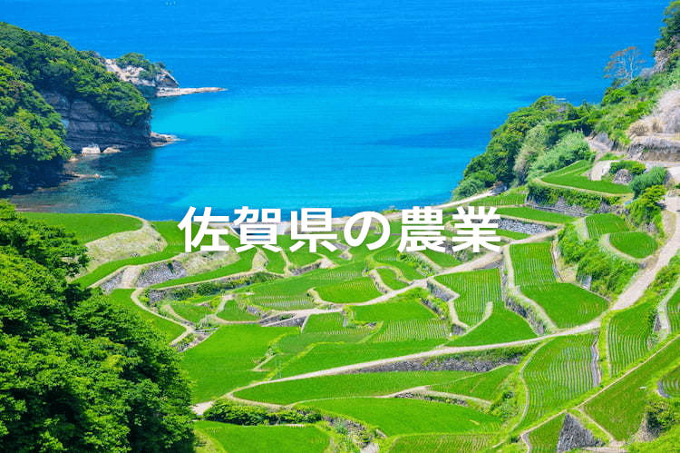 佐賀県で農業を始めよう！ 地域の特徴と、活用できる補助制度