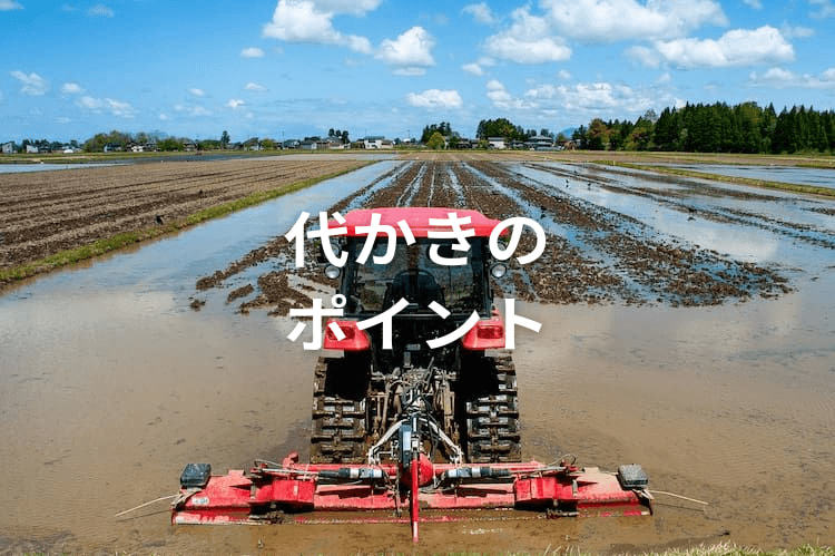 代かきの効率的なやり方とは？作業手順・時期・道具について解説