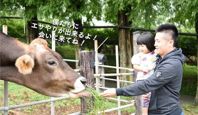 平田観光農園 動物広場