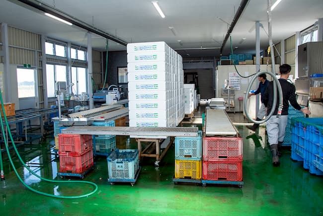 山口farm れんこん真空パック 加工場