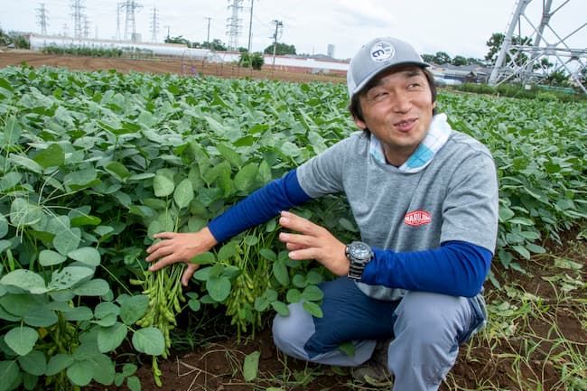 西船橋ひらの農園 平野徹さん 枝豆栽培は全面的に任されている