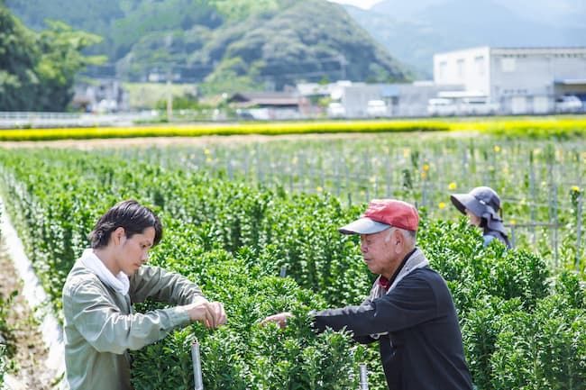 ベテランの高齢農家から生産技術を教わる青年