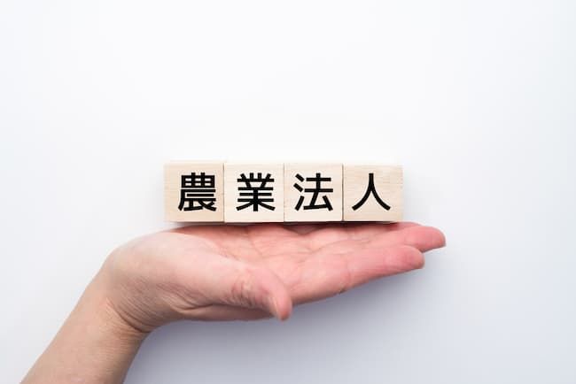 農業法人 イメージ画像