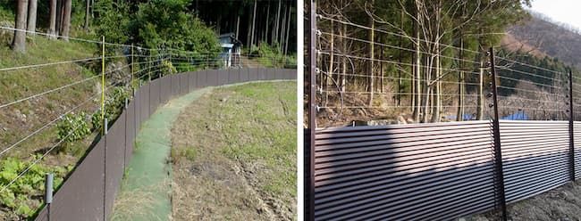 トタン板と電気柵を組み合わせた防除対策の設置例