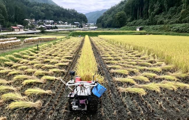 バインダー付き稲刈り機