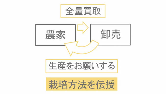 生産委託農家は、栽培マニュアルをベースに、高い品質基準をクリアしたトマトを栽培、Happy Qualityが全量買い取り販売する