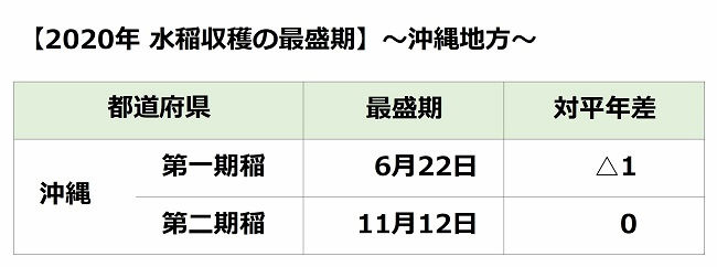 沖縄地方の水稲収穫の最盛期
