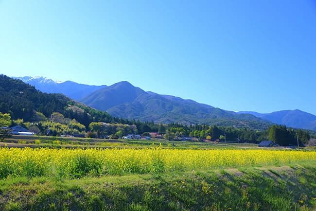 宿泊用トレーラーハウス予定地からのアルプスの山々を眺め