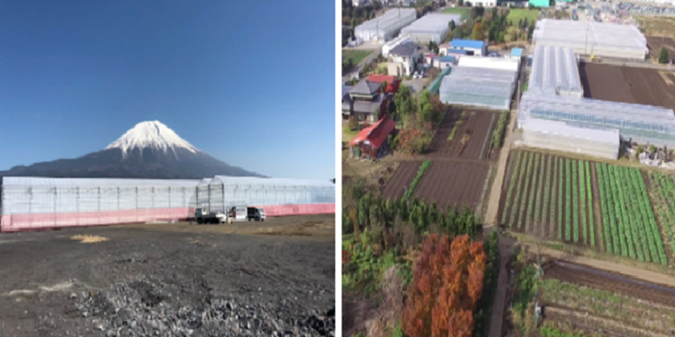 富士高原農場と藤沢農場