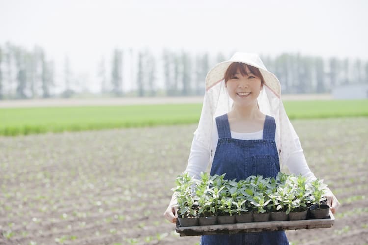 農家の嫁って実際どう 家計や労働時間 離婚率などリアルな実情を大公開