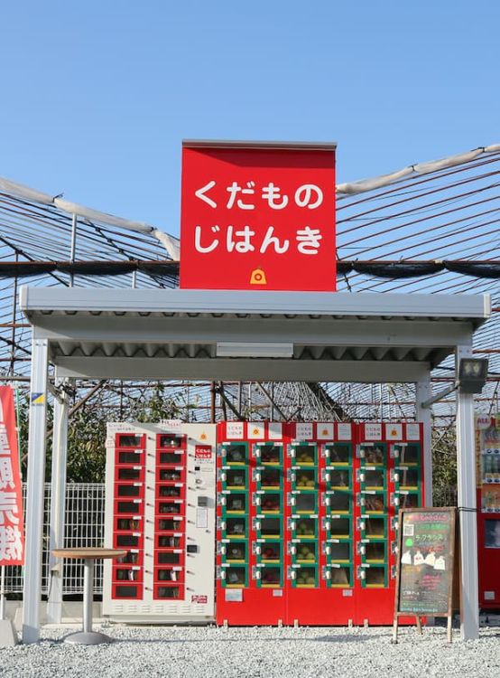 やまがたさくらんぼファーム くだものじはんき