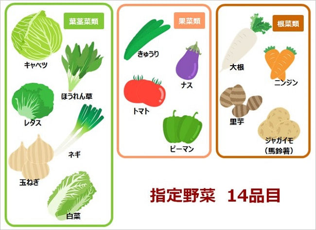 指定野菜 14品目