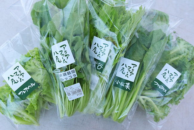 アクアファーム八尾 鮮度を保つため、梱包材への投資は惜しまない