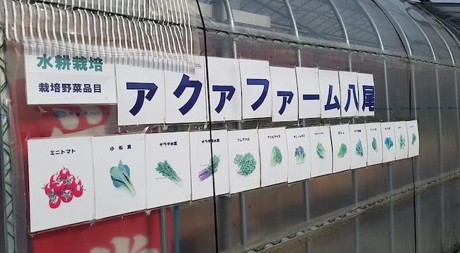 アクアファーム八尾 近隣の消費者への直接販売