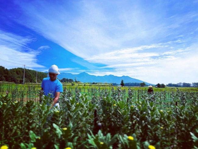 自然が広がる茅野市のやまファーム