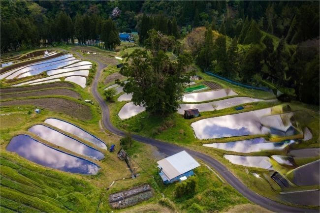 中山間地の美しい棚田