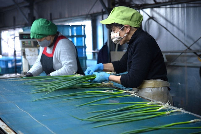 朝倉物産株式会社 法人化では従業員の働きやすさを重視し、長く勤務する従業員を確保