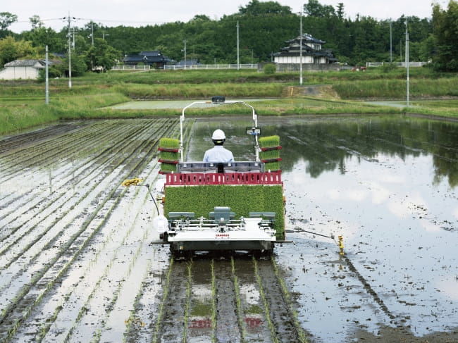 育苗箱から小苗を正確にかきとることができる密苗専用田植え機