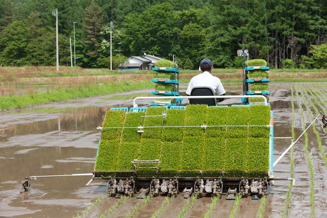 田植え機欠株するのはなぜ – 田植機 掻き取り量が多い _ クボタユーザー必見!苗クリーナ装着で欠株が激減した – RUOR